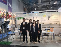 మా జట్టు