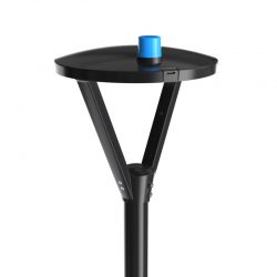 తోట-వెలుతురు